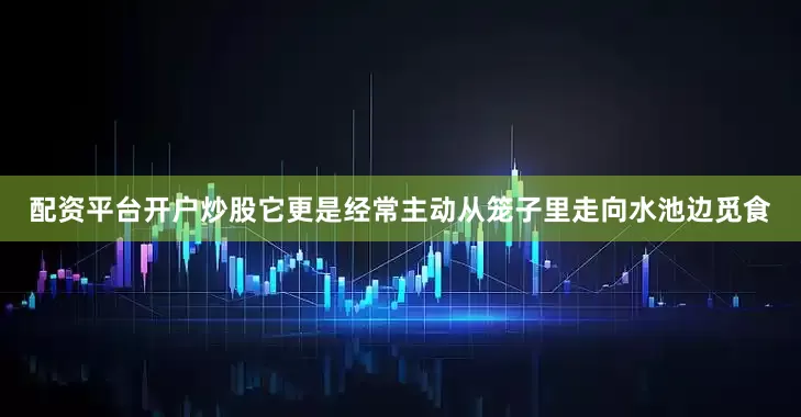 配资平台开户炒股它更是经常主动从笼子里走向水池边觅食