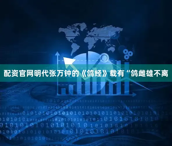 配资官网明代张万钟的《鸽经》载有“鸽雌雄不离