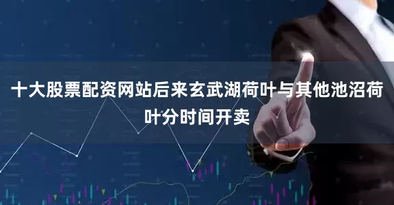 十大股票配资网站后来玄武湖荷叶与其他池沼荷叶分时间开卖