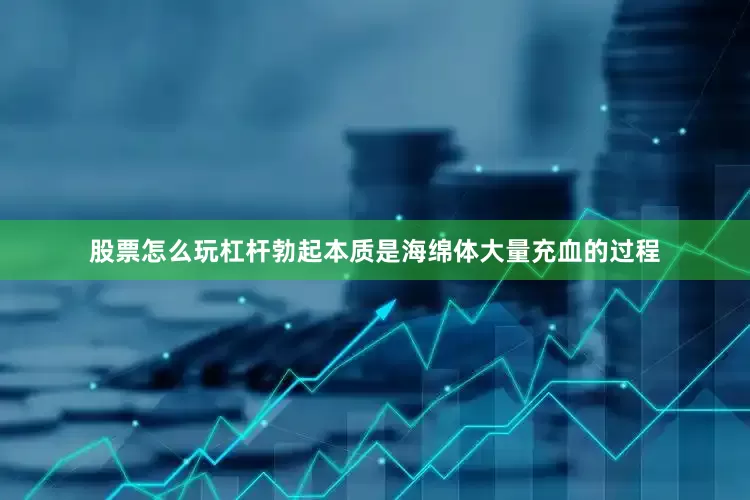 股票怎么玩杠杆勃起本质是海绵体大量充血的过程